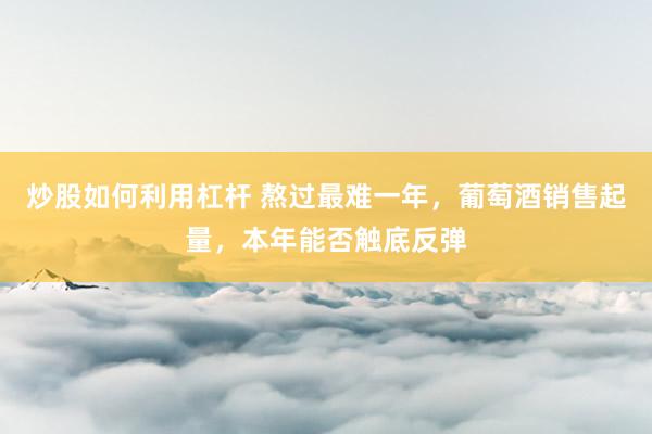 炒股如何利用杠杆 熬过最难一年，葡萄酒销售起量，本年能否触底反弹