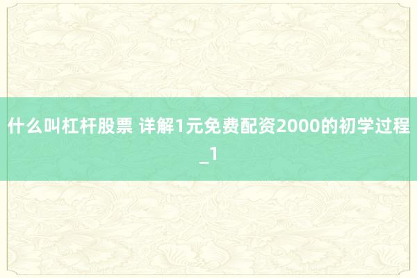 什么叫杠杆股票 详解1元免费配资2000的初学过程_1