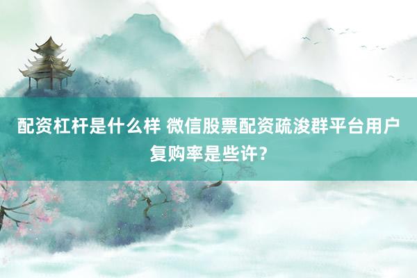 配资杠杆是什么样 微信股票配资疏浚群平台用户复购率是些许？