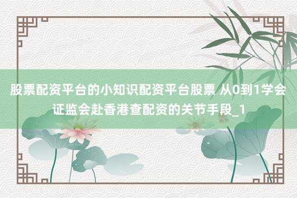 股票配资平台的小知识配资平台股票 从0到1学会证监会赴香港查配资的关节手段_1
